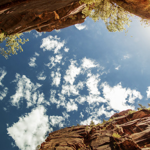 纳屋漫画改造系列
